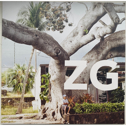 ZG (2) ZG Vinyl LP USED