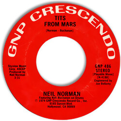 Neil Norman Wild Boys USED VINYL 7INCH 45 RPM