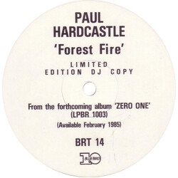 Paul Hardcastle Forest Fire USED VINYL 12INCH SINGLE SIDED PROMO LIMITED EDITION