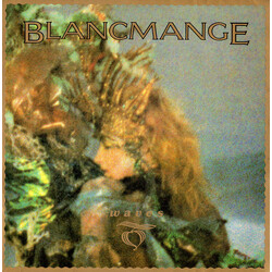 Blancmange Waves USED VINYL 12INCH 45 RPM SINGLE