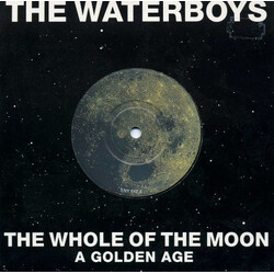 The Waterboys The Whole Of The Moon USED VINYL 7INCH 45 RPM SINGLE