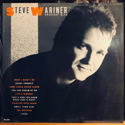 Steve Wariner Greatest Hits Vinyl LP USED