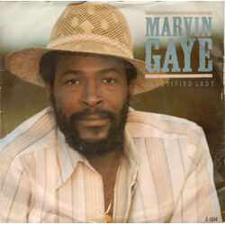 Marvin Gaye Sanctified Lady USED VINYL 7INCH SINGLE 45 RPM STEREO
