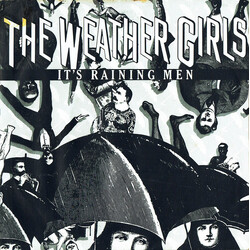 The Weather Girls It's Raining Men USED VINYL 7INCH 45 RPM SINGLE STEREO