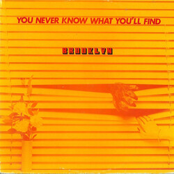 Brooklyn (15) You Never Know What You'll Find Vinyl LP USED
