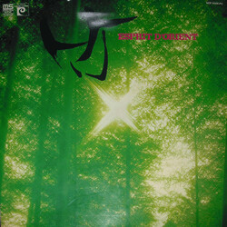 Katsuya Yokoyama / Rampo Yokoyama / Kinshi Tsuruta / Susumu Miyashita 竹 Esprit D'orient Vinyl LP USED