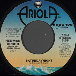 Herman Brood Saturdaynight USED VINYL 7INCH 45 RPM SINGLE STEREO