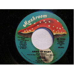 Chilliwack Arms Of Mary USED VINYL 7INCH 45 RPM SINGLE PROMO STEREO MONO