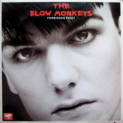 The Blow Monkeys Forbidden Fruit Vinyl LP USED