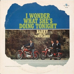 Barry And The Tamerlanes I Wonder What She's Doing Tonight Vinyl LP USED