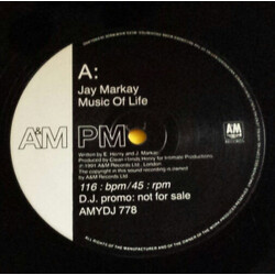 Jay Markay Music Of Life USED VINYL 12INCH 45 RPM PROMO