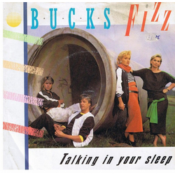 Bucks Fizz Talking In Your Sleep Vinyl 7" USED