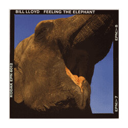Bill Lloyd (3) Feeling The Elephant Vinyl LP USED