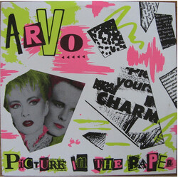 Arvo Picture In The Paper Vinyl 12" USED
