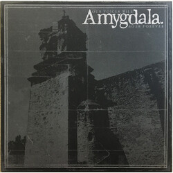 Amygdala (12) Our Voices Will Soar Forever Vinyl LP USED
