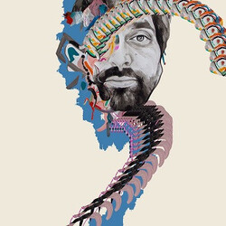 Animal Collective Painting With Vinyl LP USED