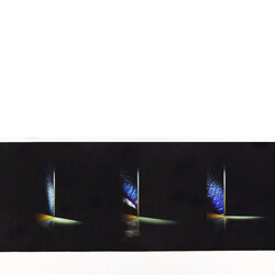 Raime Planted USED VINYL 12INCH 33 S RPM EP