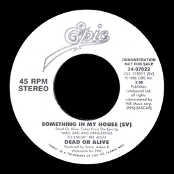 Dead Or Alive Something In My House Vinyl 7" USED
