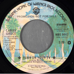 Larry Groce Turn On Your TV Vinyl 7" USED