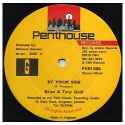 Brian & Tony Gold By Your Side Vinyl 12" USED