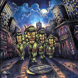 John Du Prez Teenage Mutant Ninja Turtles Vinyl 2 LP USED