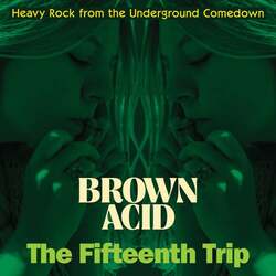Various Brown Acid: The Fifteenth Trip (Heavy Rock From The American Comedown Era) Vinyl LP USED