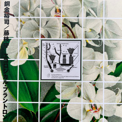 Yuji Dogane / Mamoru Fujieda Ecological Plantron Vinyl LP USED