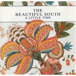 The Beautiful South A Little Time USED VINYL 7INCH 45 RPM SINGLE