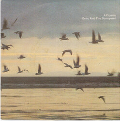 Echo & The Bunnymen A Promise USED VINYL 7INCH SINGLE