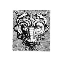 Kulku bohemian drips presents: Kulku Vinyl LP USED