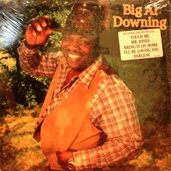 Al Downing Big Al Downing Vinyl LP USED