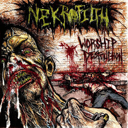Nekrofilth Worship Destruction USED VINYL 12INCH 45 RPM