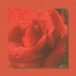 Lucky Old Sun 母の日 / Night Lunch Vinyl 7" USED