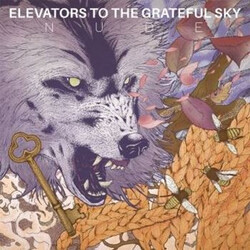 Elevators To The Grateful Sky Nude Vinyl LP USED