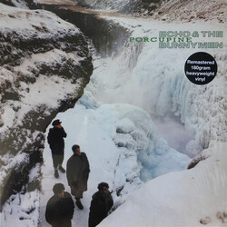 Echo & The Bunnymen Porcupine Vinyl LP USED