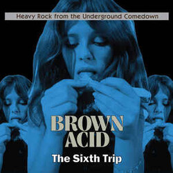 Various Brown Acid: The Sixth Trip (Heavy Rock From The Underground Comedown) Vinyl LP USED