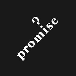 Promise (12) Promise Vinyl LP USED