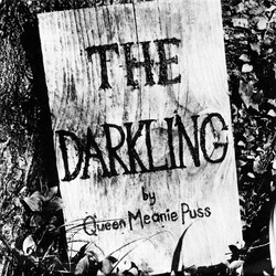 Queen Meanie Puss The Darkling USED VINYL 7INCH 33 S RPM