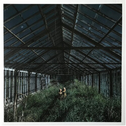 Foxing Dealer Vinyl LP USED