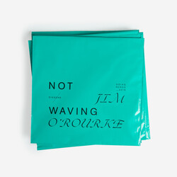 Not Waving / Jim O'Rourke Side A / Side B Vinyl 12" USED