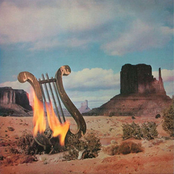 Lyres On Fyre Vinyl LP USED