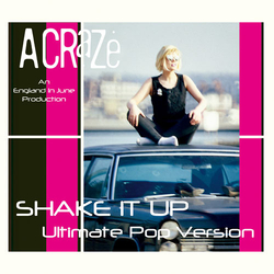 A Craze Shake It Up Vinyl 7" USED