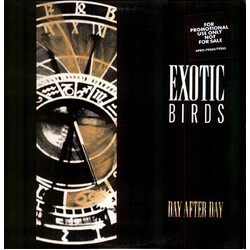 Exotic Birds Day After Day USED VINYL 12INCH MAXI-SINGLE PROMO