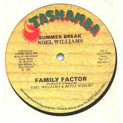Family Factor Summer Break USED VINYL 12INCH 33 S RPM