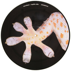 Merzbow / Band Of Pain The Celebration Of The Lizard / March Of The Myriapoda Vinyl LP USED