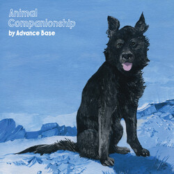 Advance Base Animal Companionship Vinyl LP USED