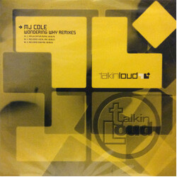 MJ Cole Wondering Why Remixes VINYL 12" USED
