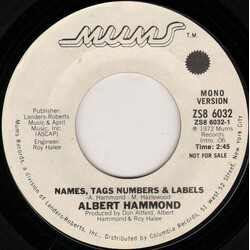 Albert Hammond Names, Tags, Numbers & Labels USED VINYL 7INCH 45 RPM PROMO