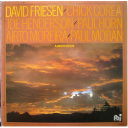 David Friesen Amber Skies Vinyl LP USED