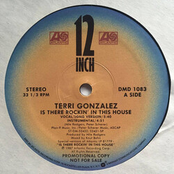 Terri Gonzalez Is There Rockin' In This House Vinyl 12" USED